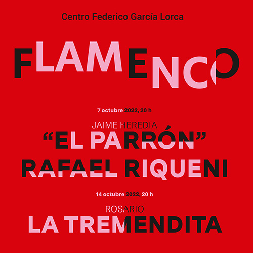 Flamenco en Centro Federico García Lorca