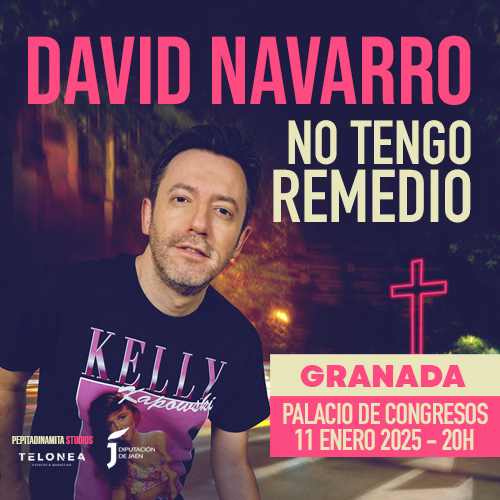 David Navarro - No tengo remedio